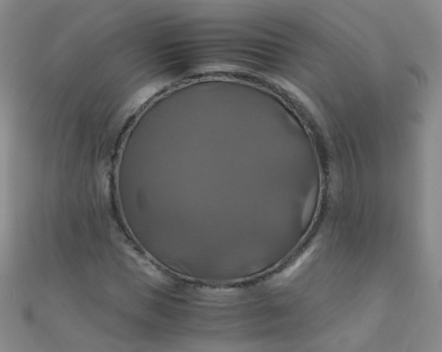 X0000110990921200907022113