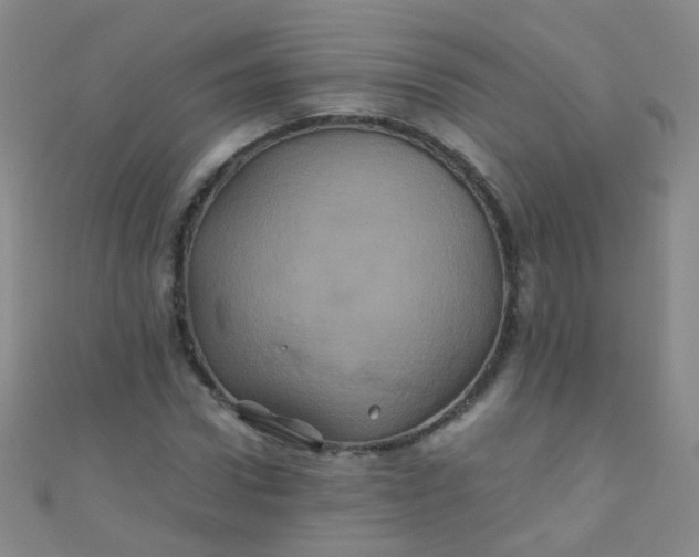 X0000110990922200907022113