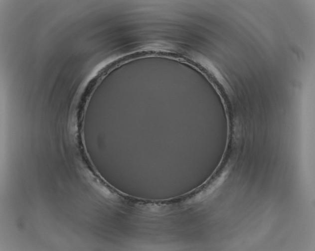 X0000110990923200907022113