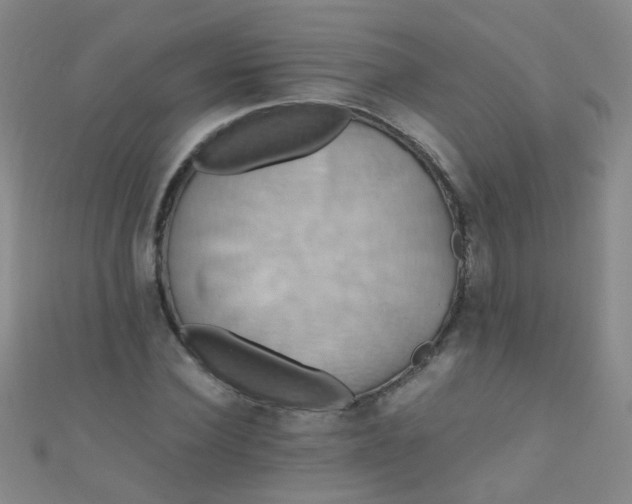 X0000110990924200907022113
