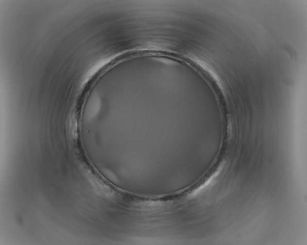 X0000110990925200907022113