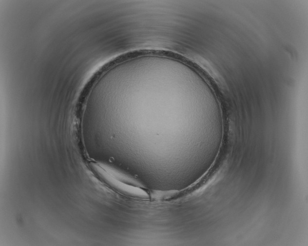 X0000110990926200907022113