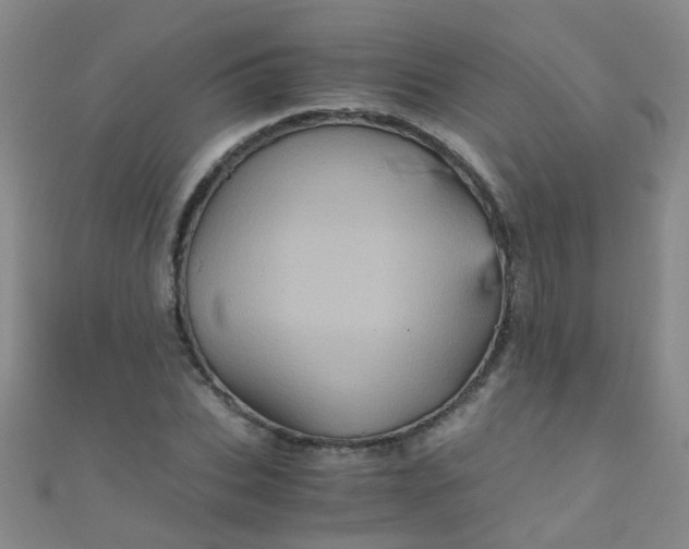 X0000110990927200907022113