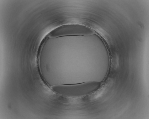 X0000110990928200907022113