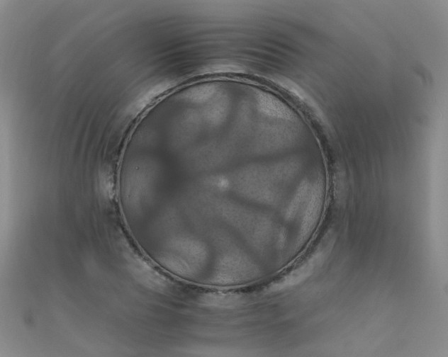X0000110990929200907022113