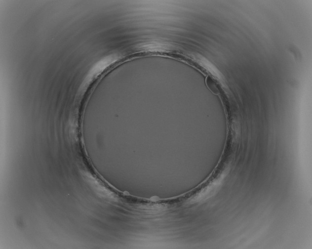 X0000110990930200907022113
