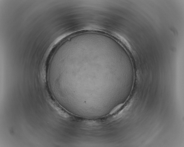 X0000110990931200907022113