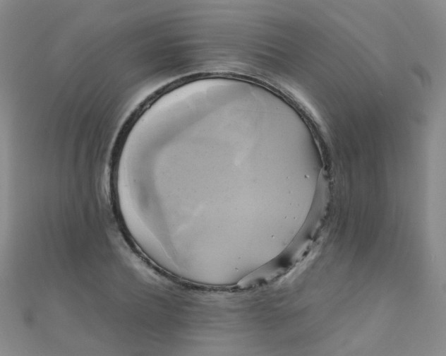 X0000110990932200907022113