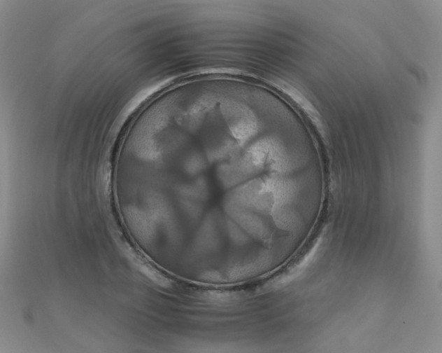 X0000110990933200907022113