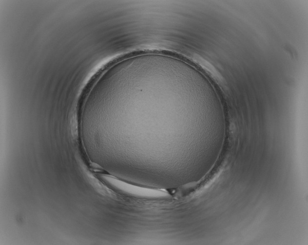 X0000110990934200907022113