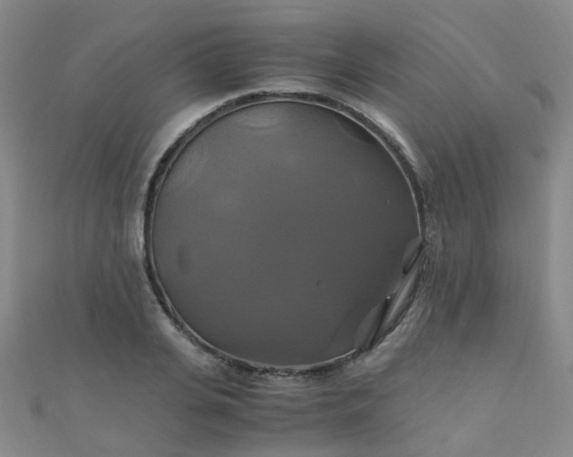 X0000110990935200907022114