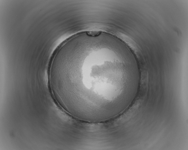X0000110990936200907022114