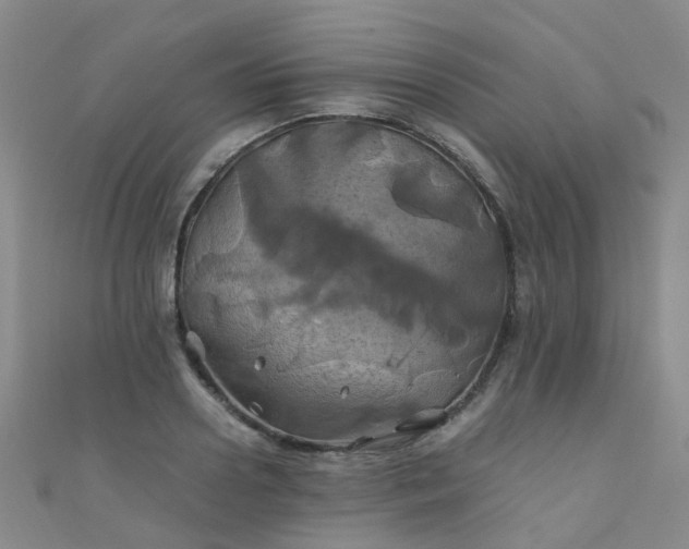 X0000110990938200907022114