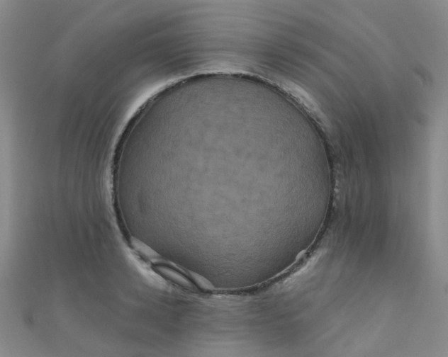 X0000110990942200907022114