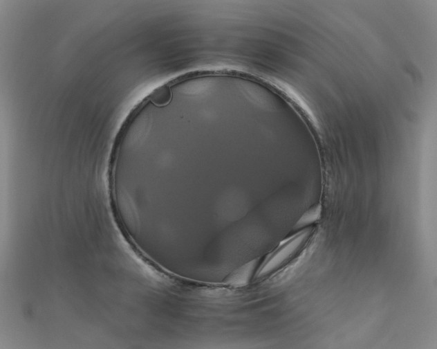 X0000110990943200907022114