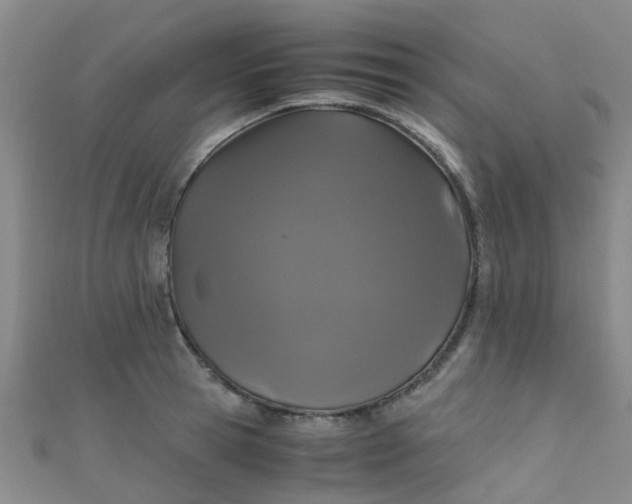 X0000110990945200907022114