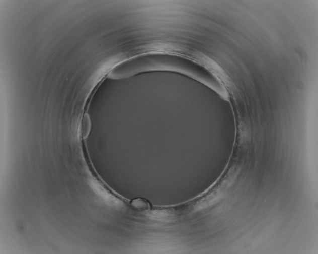 X0000110990946200907022114
