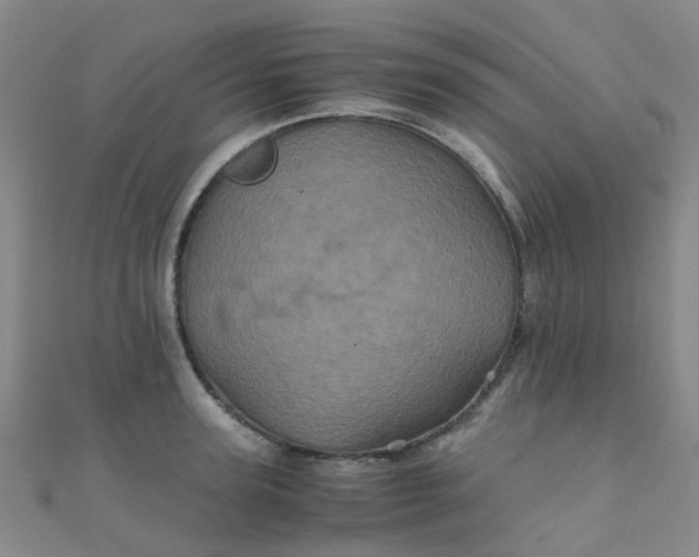 X0000110990947200907022114