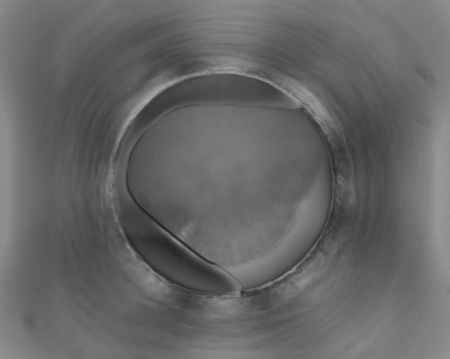 X0000110990948200907022114