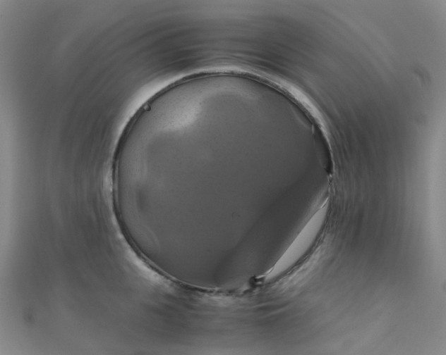 X0000110990951200907022114