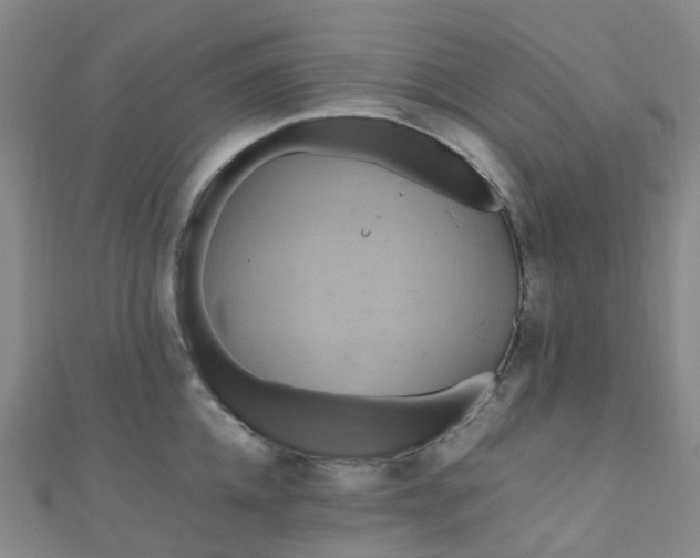 X0000110990952200907022114