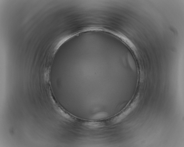 X0000110990953200907022114
