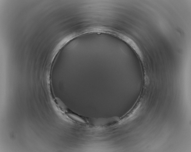 X0000110990954200907022114