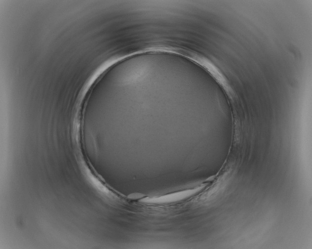 X0000110990955200907022114