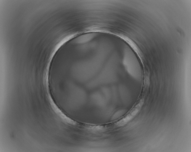 X0000110990957200907022114