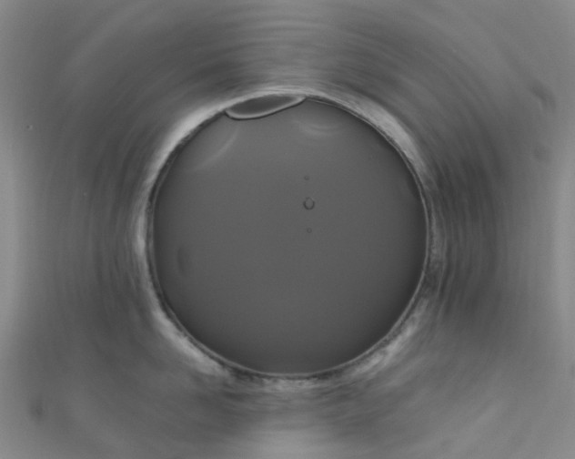 X0000110990958200907022114