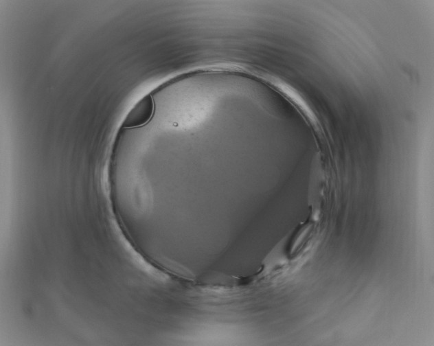 X0000110990959200907022114