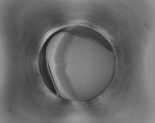 X0000110990960200907022114