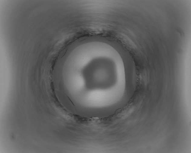 X0000110990961200907022113