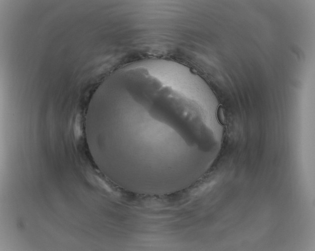 X0000110990962200907022113