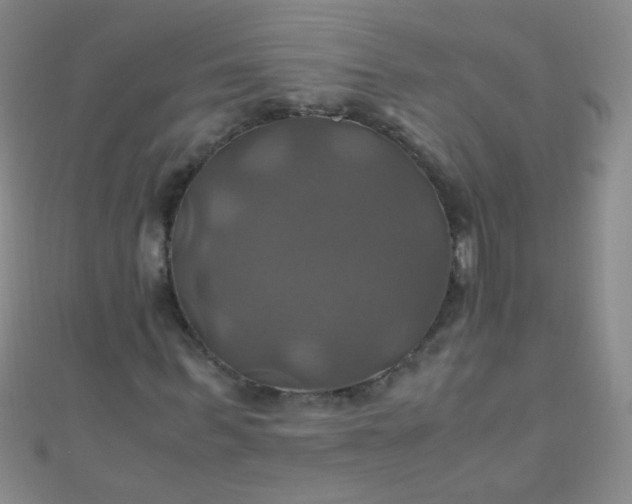 X0000110990963200907022113