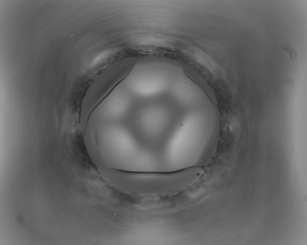 X0000110990965200907022113