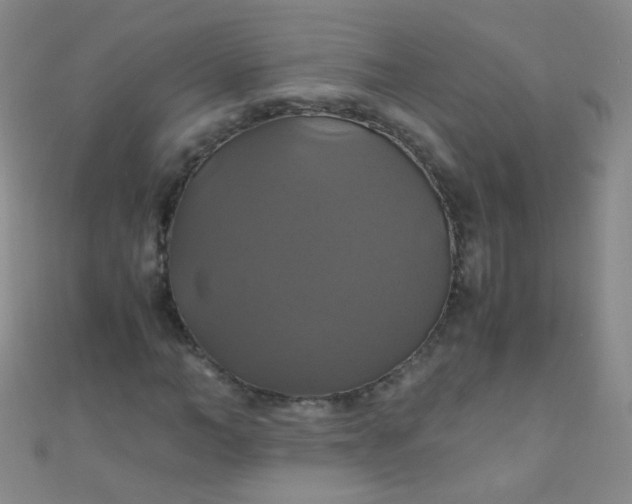 X0000110990966200907022113