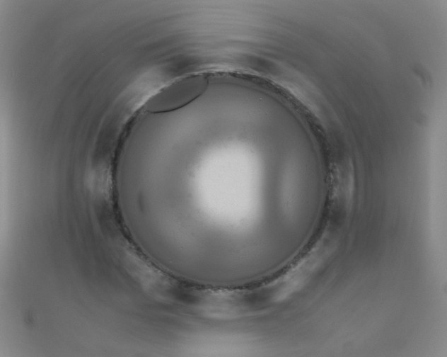 X0000110990969200907022113