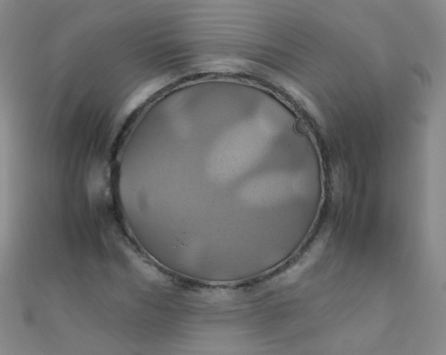 X0000110990970200907022113