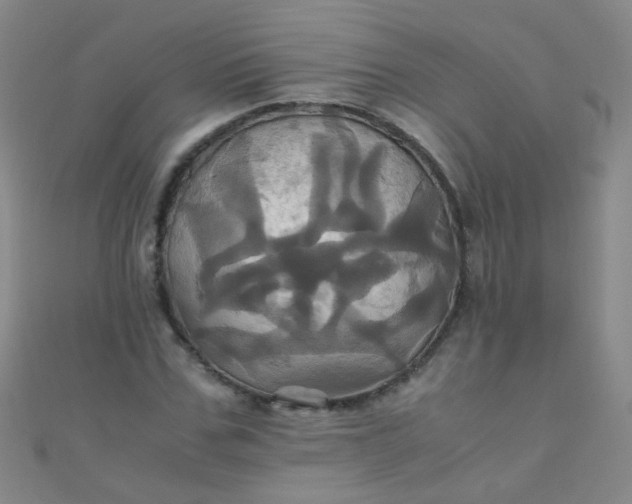 X0000110990971200907022113