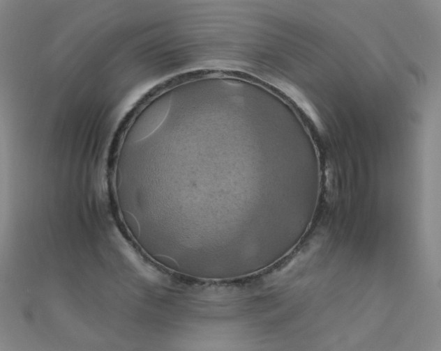 X0000110990972200907022113