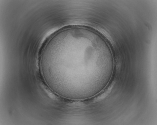 X0000110990974200907022113