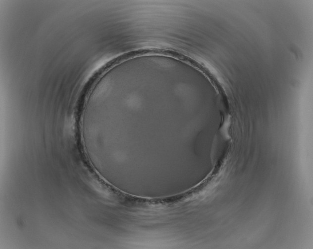 X0000110990975200907022113