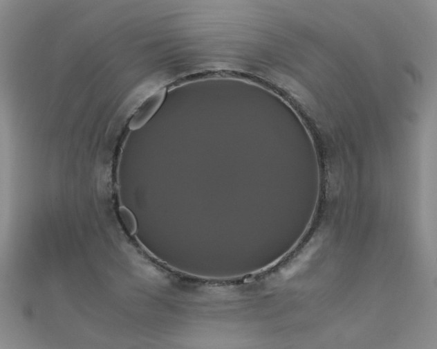 X0000110990977200907022113