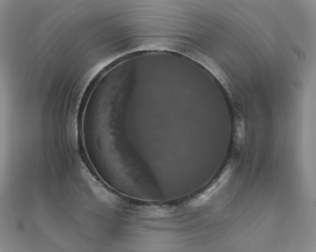 X0000110990980200907022113
