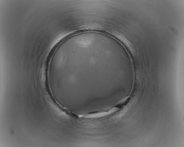 X0000110990983200907022113