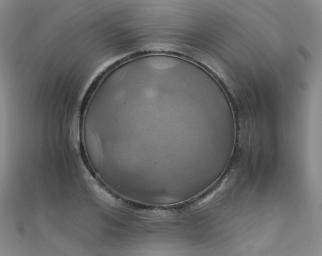 X0000110990984200907022113
