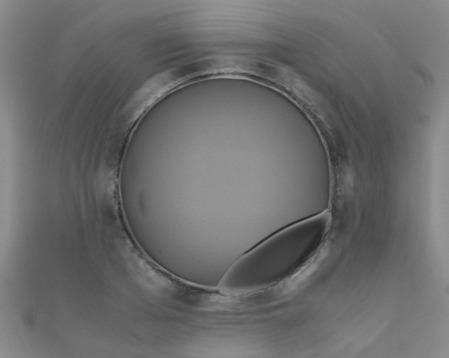 X0000110990985200907022113