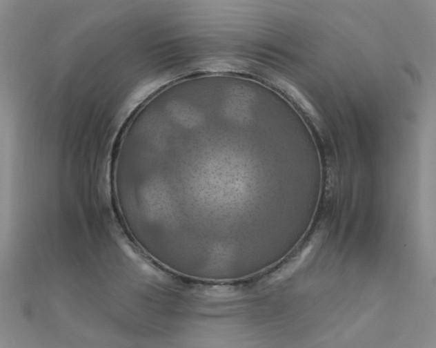 X0000110990986200907022113