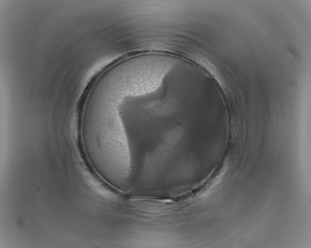 X0000110990987200907022113